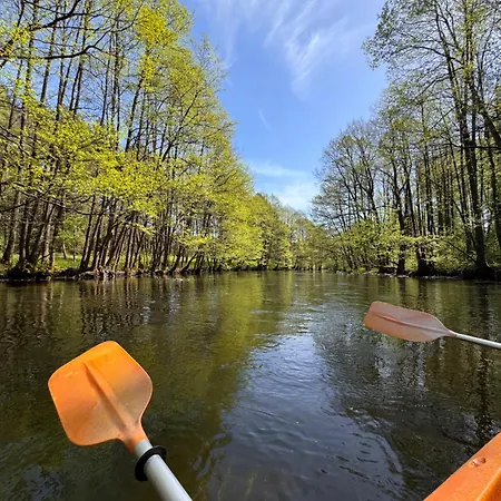 Forest Mood 度假居 *