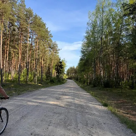 Forest Mood Wieck