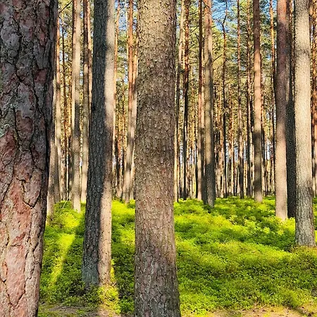 Forest Mood Holiday home Wieck