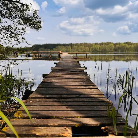Forest Mood Wieck