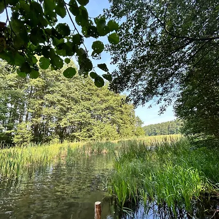 Forest Mood Holiday home