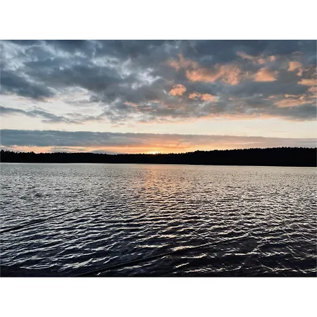 Forest Mood Дом отдыха