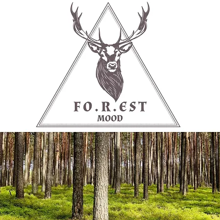 Holiday home Forest Mood *