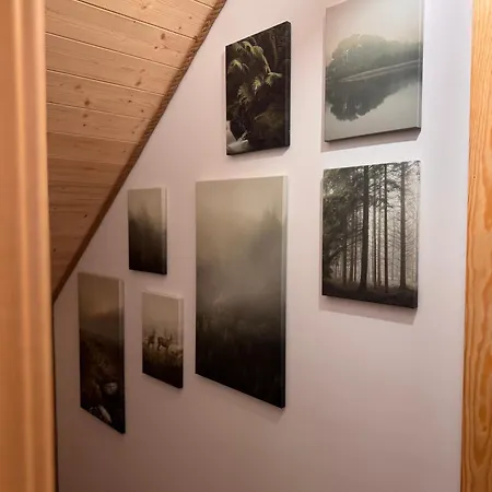 Forest Mood * Wieck