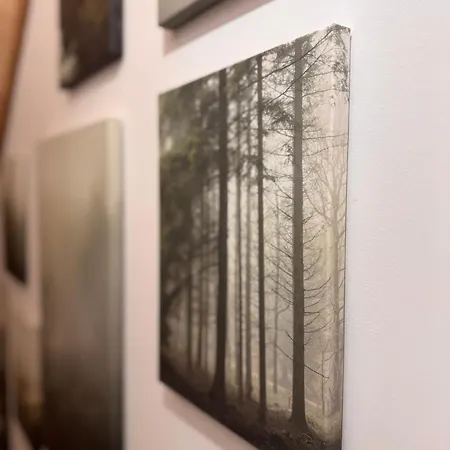 Forest Mood Дом отдыха Wieck
