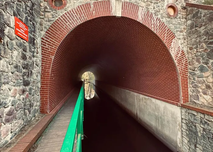 Ferienhaus Forest Mood Wieck