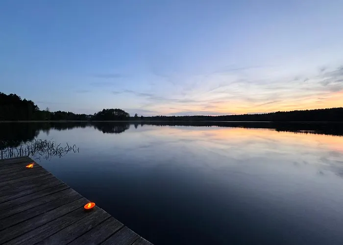 Dom wakacyjny Forest Mood