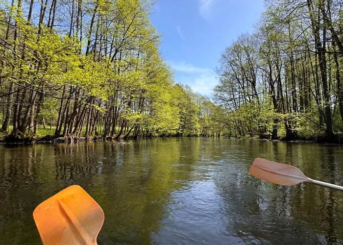 Forest Mood Dom wakacyjny *