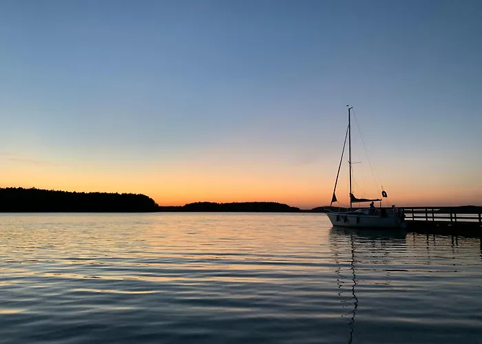 Dom wakacyjny Forest Mood