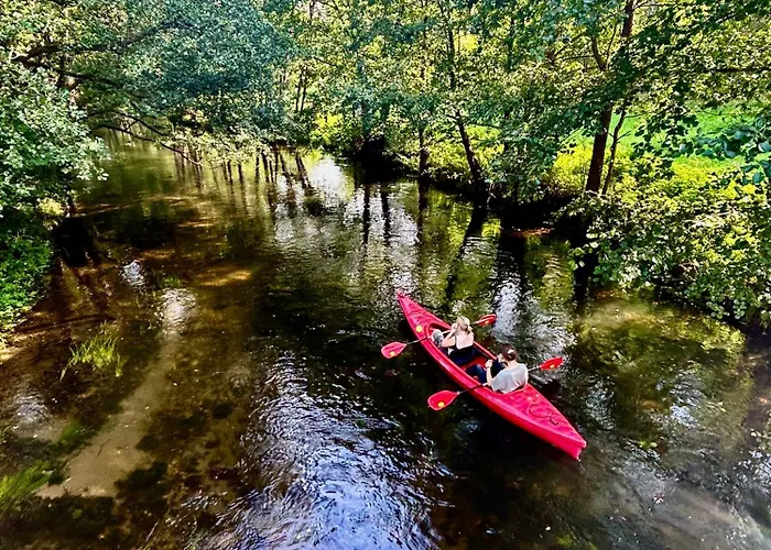 Forest Mood Dom wakacyjny Wieck