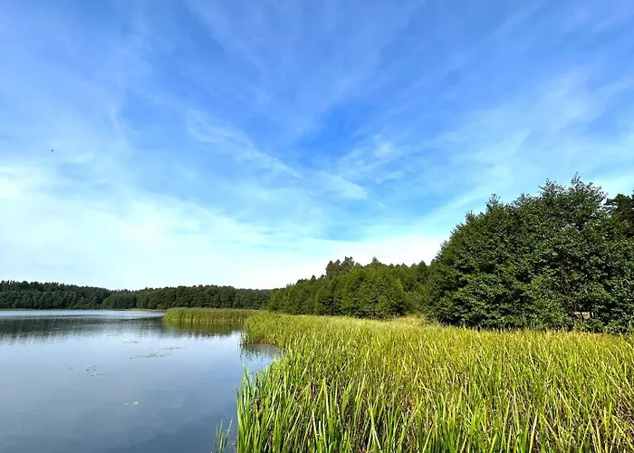 Forest Mood בית נופש