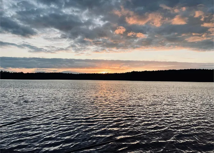 Forest Mood Ferienhaus