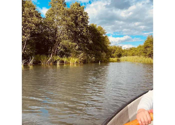 Forest Mood Ferienhaus *