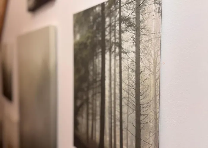 Forest Mood Ferienhaus Wieck