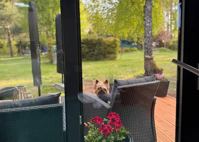 Ferienhaus Forest Mood Wieck